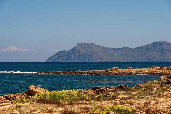 🌴 LMB Sportwoche auf Mallorca – ab 21. Februar 2026!